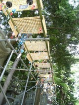 furin