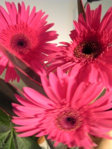 071015flower