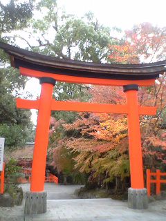 usainautumn