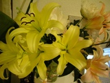 myflowers2