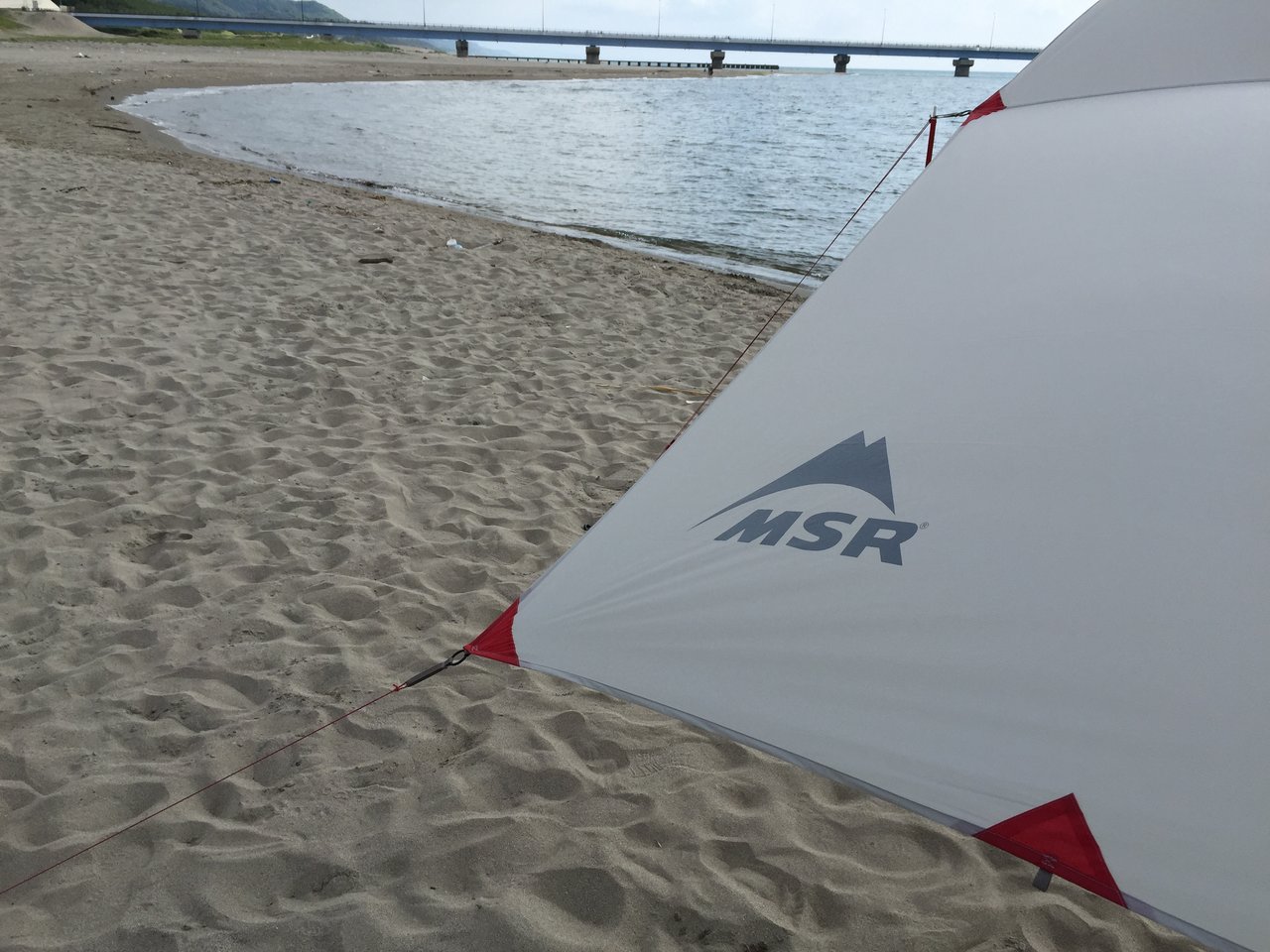 久しぶりに新幕購入 msr メッシュハウス2 テントの中のネコ