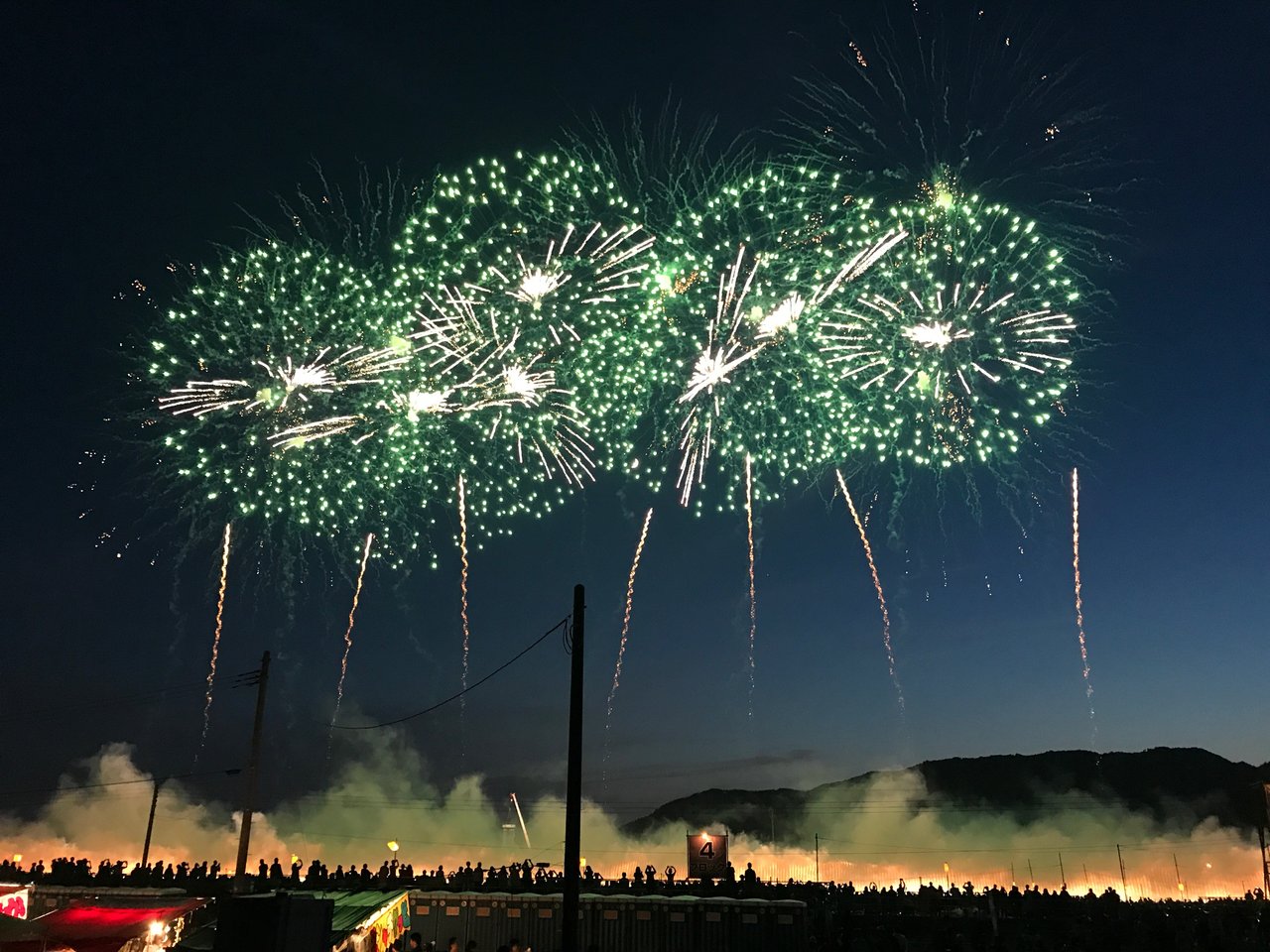 来年はキャンプで全国花火競技大会 大曲の花火 を楽しもう テントの中のネコ