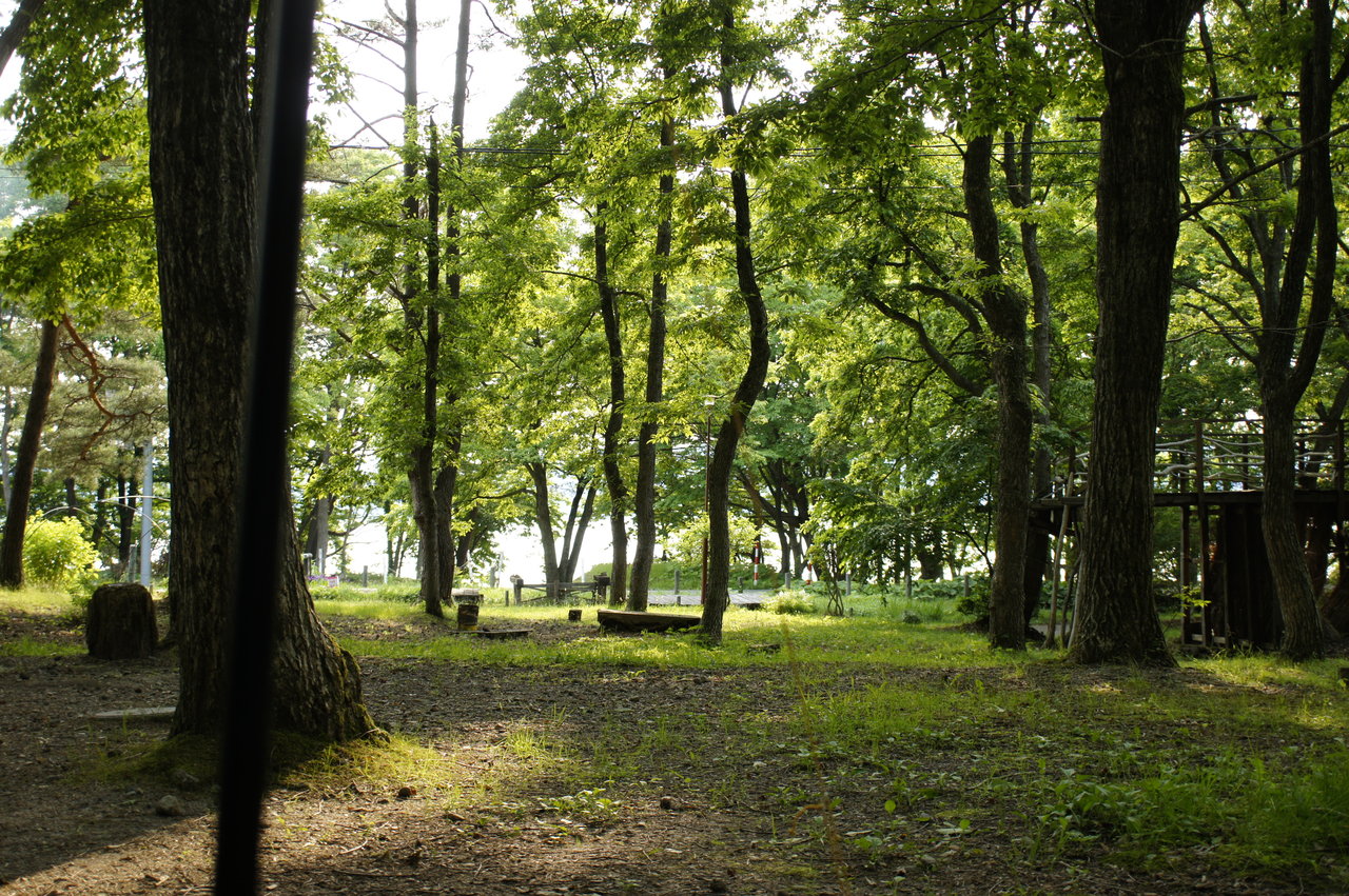 久しぶりの田沢湖キャンプ場 テントの中のネコ