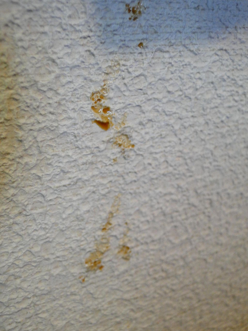 表面に凹凸のある壁紙の汚れ落とし Neigeノ庭カラ