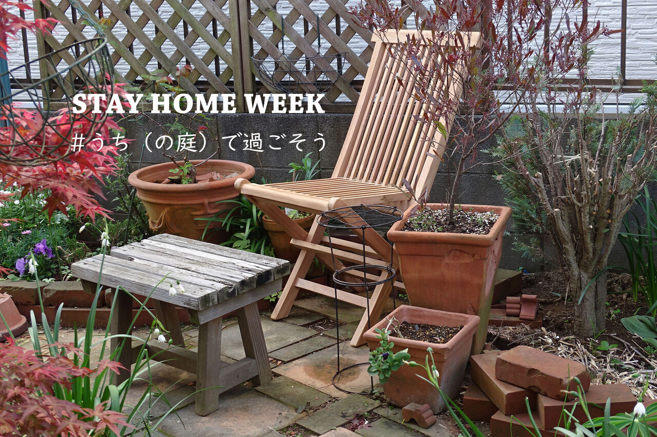 Gw Shw は うち の庭 で過ごそう 木製ガーデンチェアを買う Neigeノ庭カラ