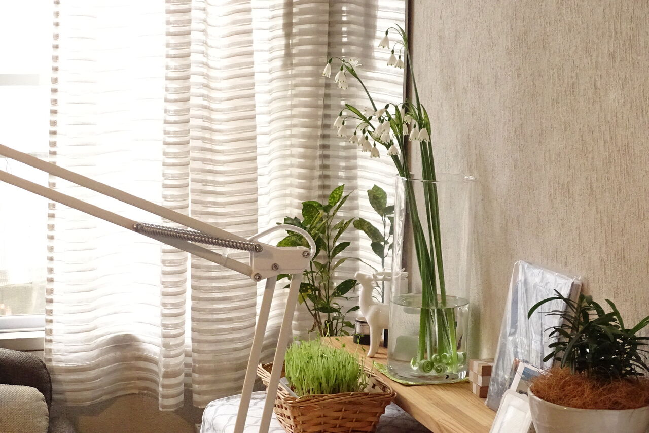 つかの間の幸せ スズランスイセンの季節 がんばれイタリア Neigeノ庭カラ