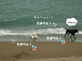 BlogPaint
