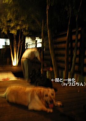 PICT0572-2