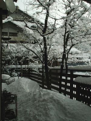 PICT0042-2