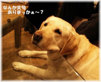 あごちょん。4