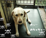 BlogPaint
