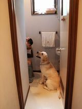 ボディガードもも