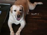 へっ?なんでっしゃろ?