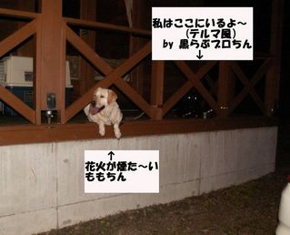 テルマブロちん