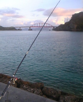 伊計島の夜釣り 海あしびぃ ネジロウの沖縄定住記
