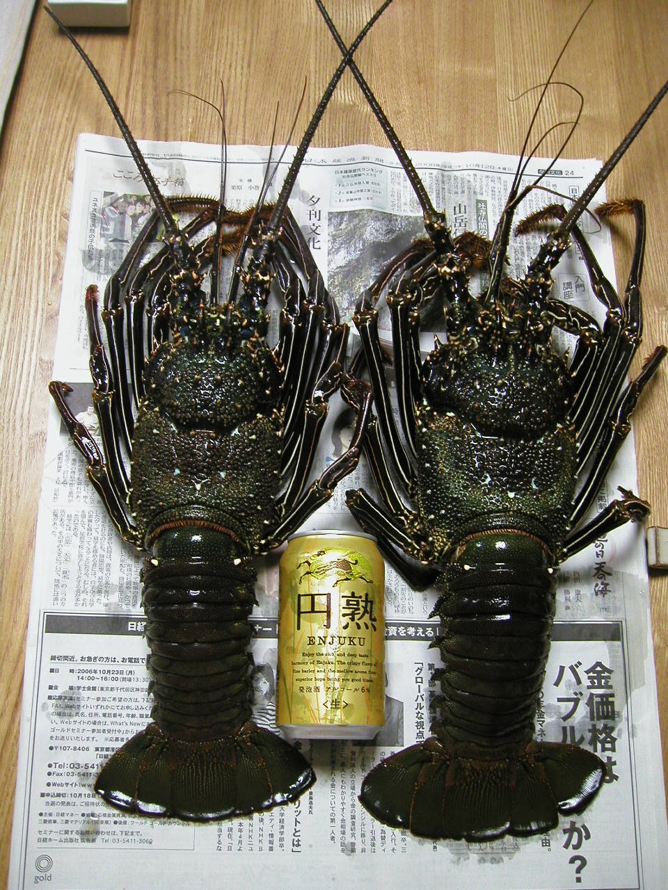 海あしびぃ ネジロウの沖縄定住記 Livedoor Blog ブログ