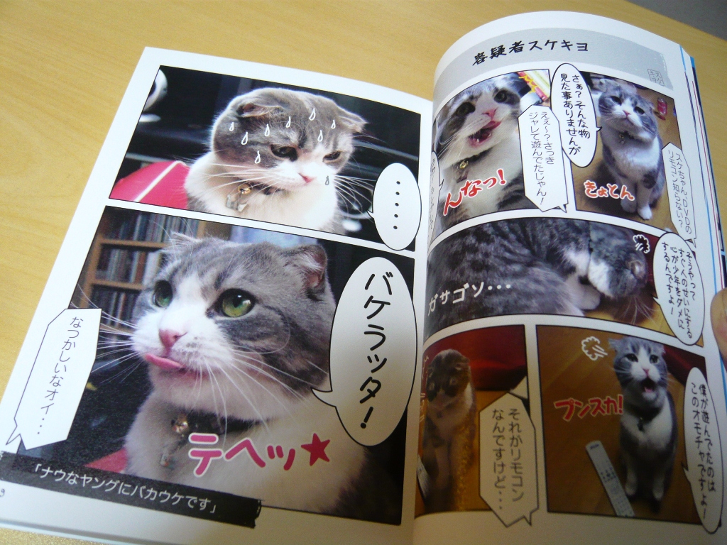 笑える実写 猫マンガ の紹介 155のある生活by猫