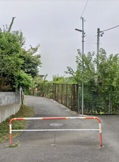 IMG_4127 (2)