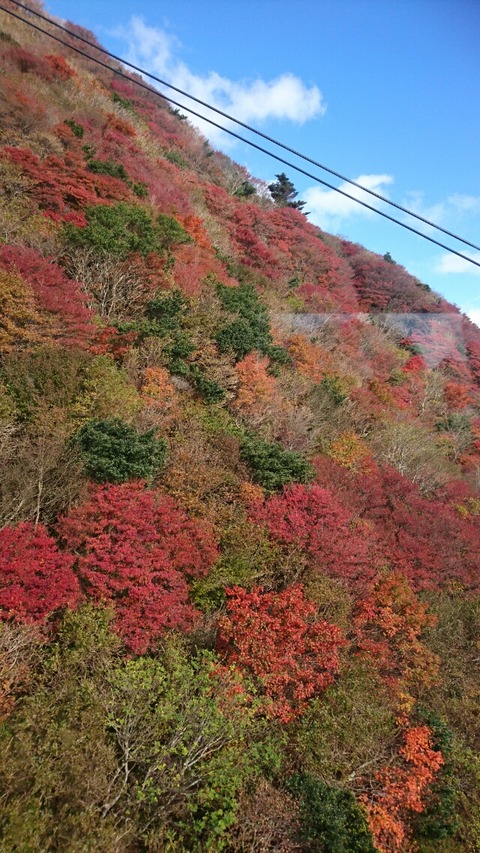 雲仙 仁田峠 紅葉 猫色のblog 雲仙 仁田峠 紅葉 猫色のblog