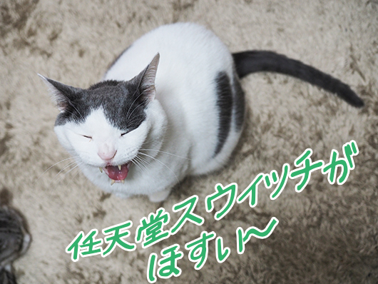 PC198753s2