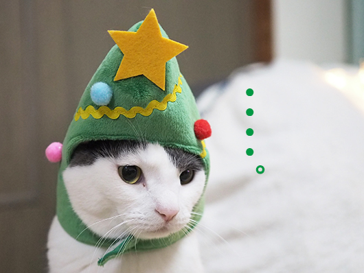 クリスマスツリー猫