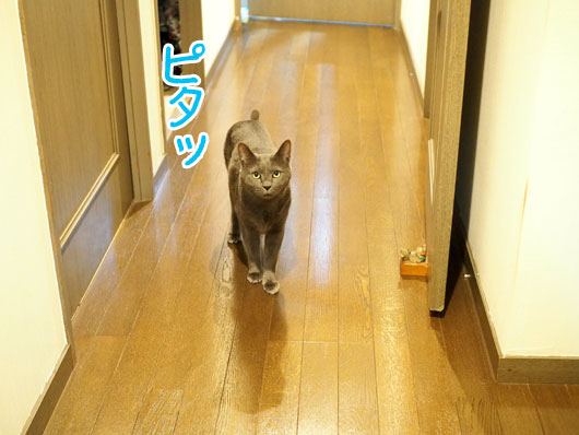 おかえり