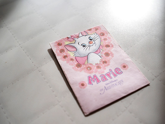 ３coinsで見つけた開運宝物入れ ねこ３生活 Powered By ライブドアブログ