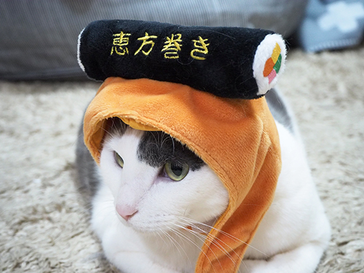 恵方巻猫