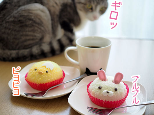 猫とケーキ