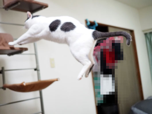失敗写真