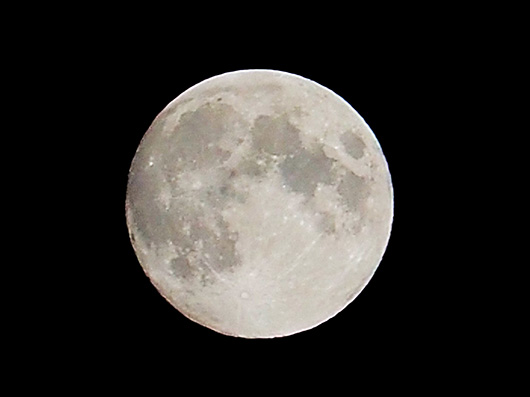 P6163743s2
