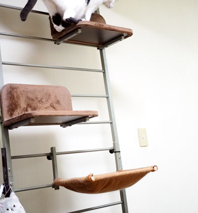 飛ぶ猫