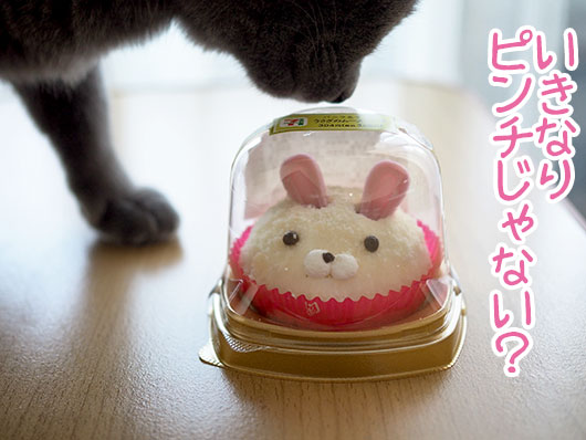 うさぎのムースケーキ