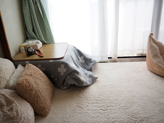 猫入りコタツ