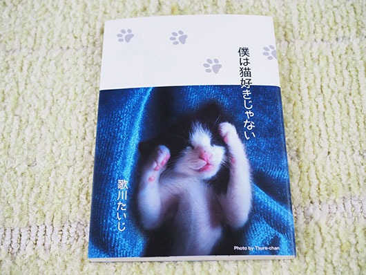 僕は猫好きじゃない