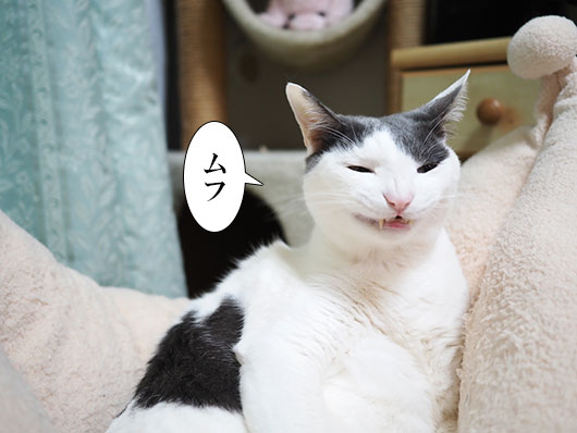 ムフ