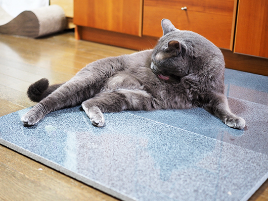 御影石で涼む猫