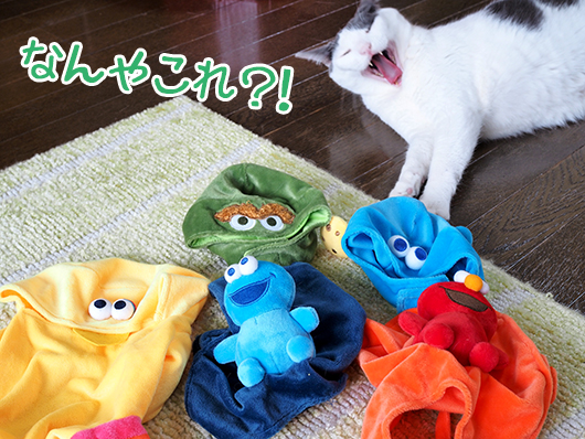 3COINSセサミストリート