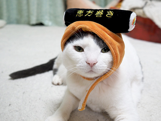 恵方巻の猫