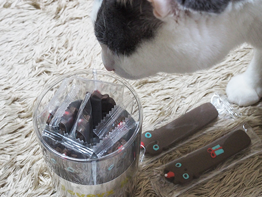 猫のクッキー