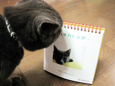 らぶ・ゆー アイニー