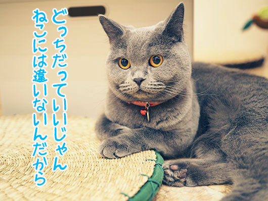 てまりのおしろ