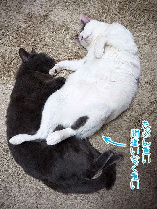 重い