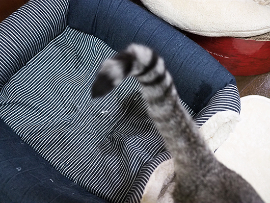 やられた