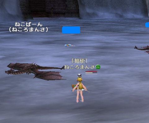 pet01a.jpg