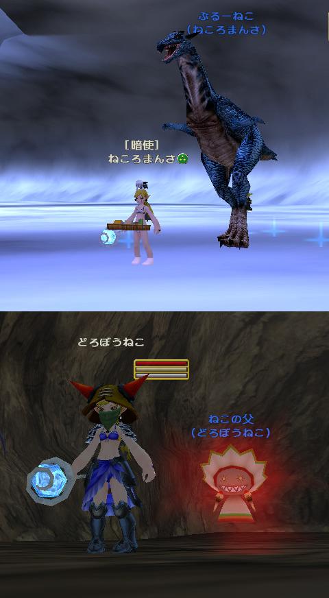 pet04b.jpg
