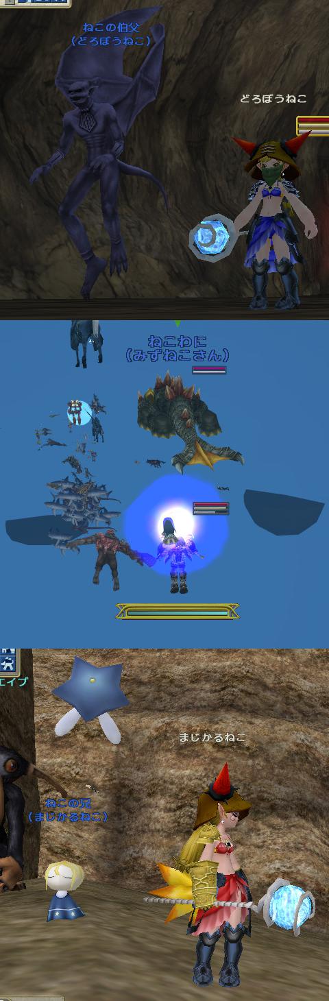 pet08b.jpg