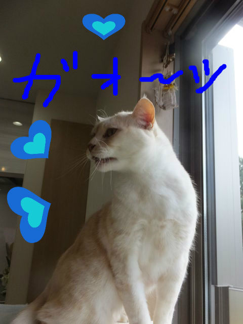 BlogPaint