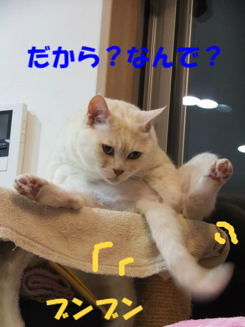 BlogPaint