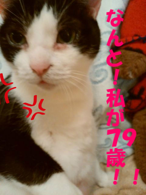 BlogPaint